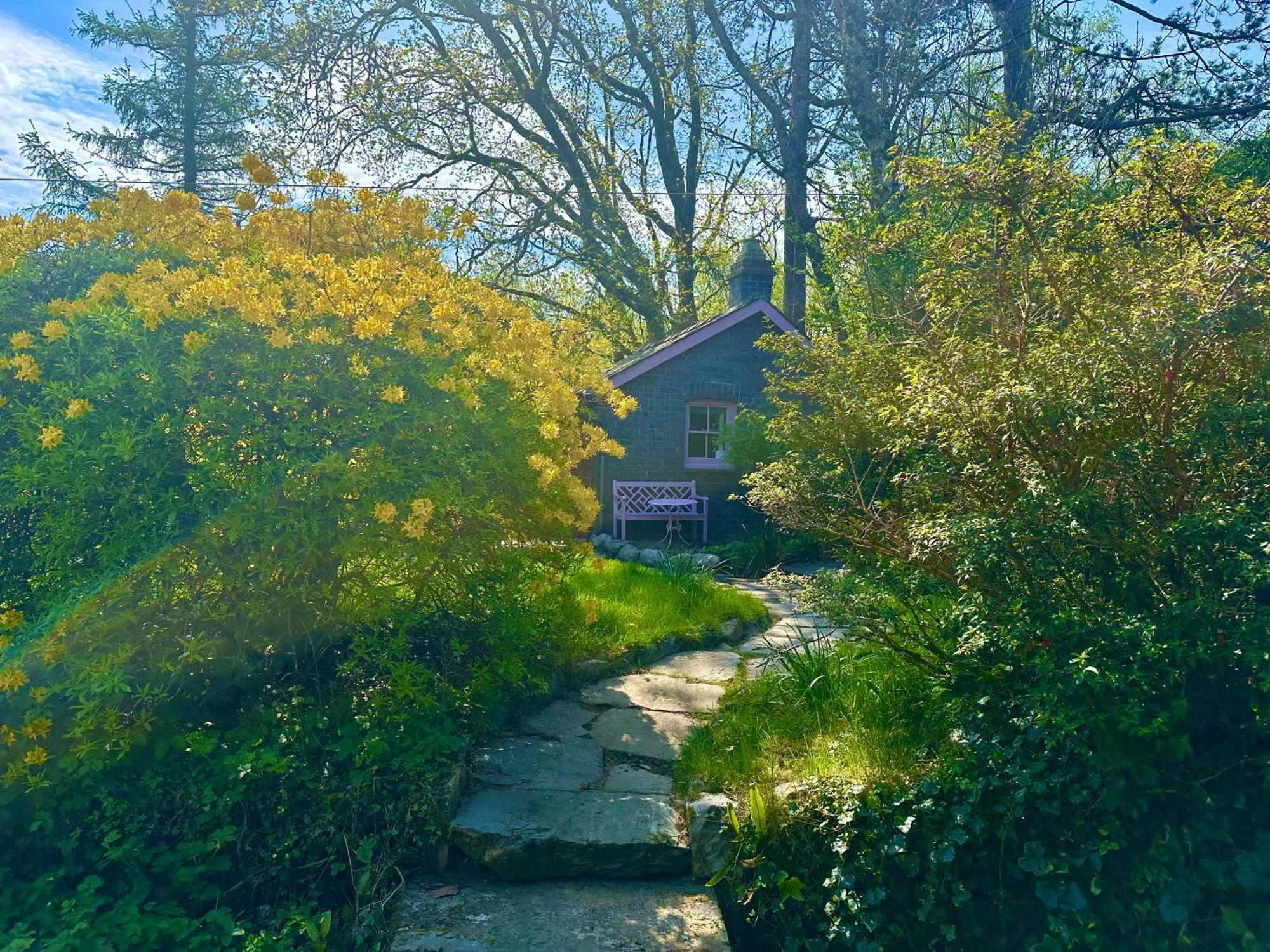 Tiny Romantic Retreat With Hot Tub On A Country Estate Near Cardigan Bay In Eryri Snowdonia Llanbedr  Buitenkant foto